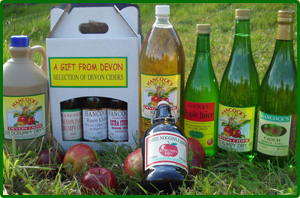 A selection from Hancocks Devon Cider